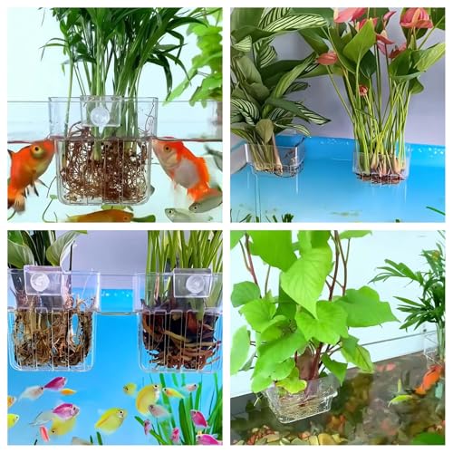 Transparent ABS plant pot detail