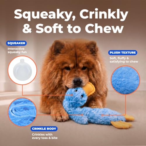 Durable stitching on Best Pet Supplies duck toy