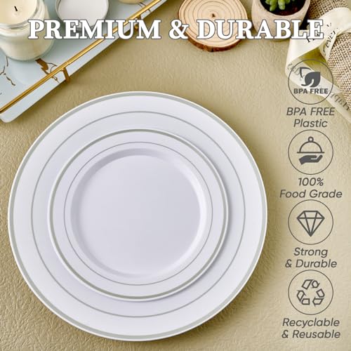 Full 60-piece FOCUSLINE silver plastic plate set
