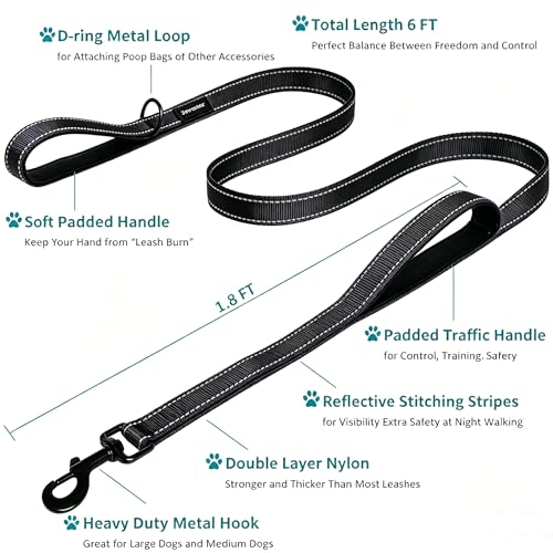 Close up of dual handles on JEWOSTER leash