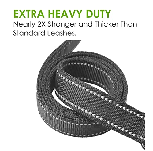 JEWOSTER leash showing reflective stitching