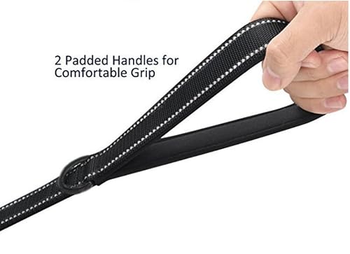 Traffic handle feature on 6 foot leash