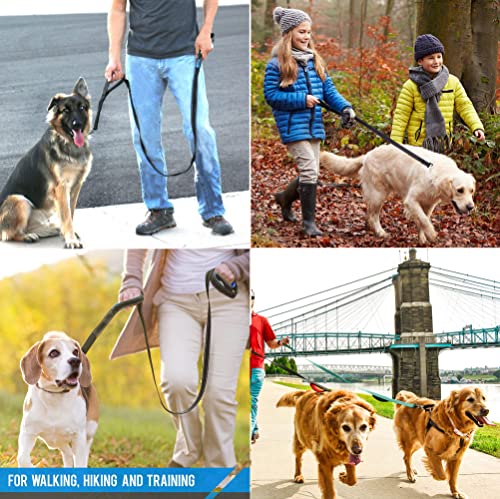 D-ring attachment on JEWOSTER dog leash