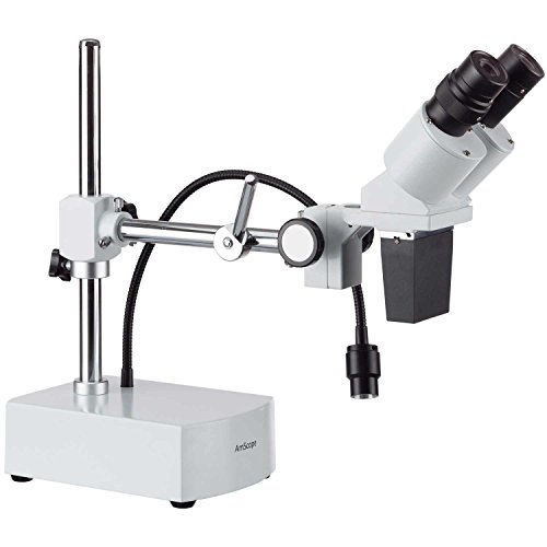 Binocular viewing head