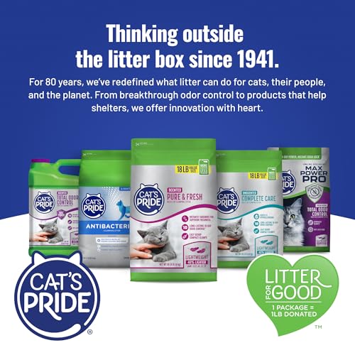 Unscented clumping litter jug back view