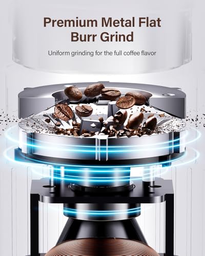 Front view of SHARDOR coffee grinder settings