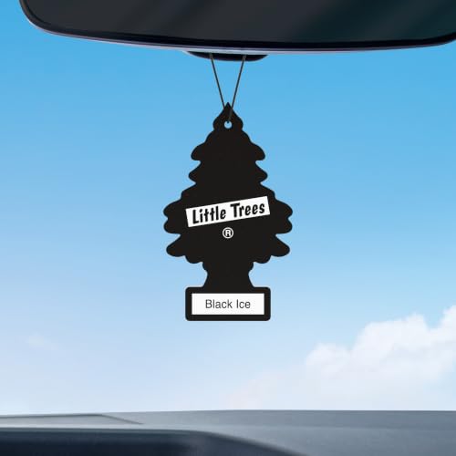 LITTLE TREES air freshener hanging in a car interior