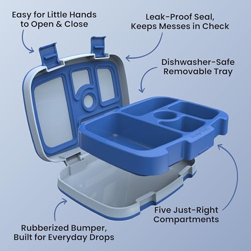 Removable compartment tray