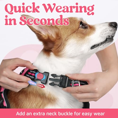 rabbitgoo harness 3 buckle system