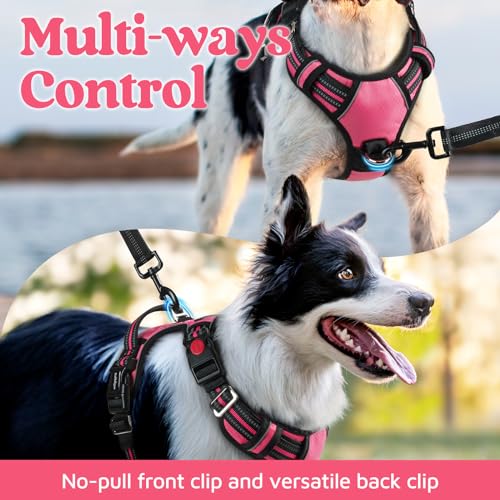 Pink dog vest chest leash clip