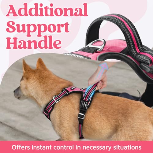Adjustable straps on rabbitgoo harness