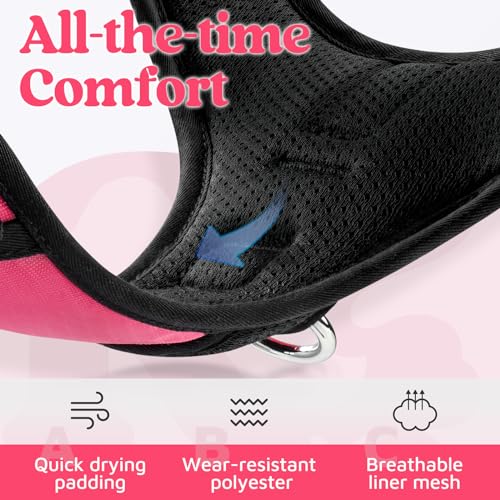 Top handle for dog control
