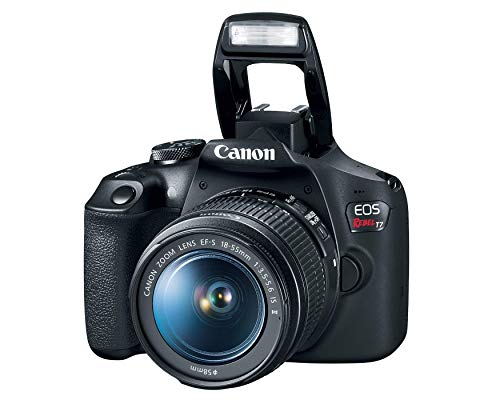 Canon EOS Rebel T7 top button layout