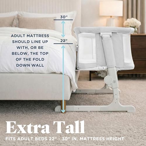 Bassinet anchored securely to an adult bed