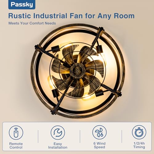 Black metal cage detail on Passky ceiling fan