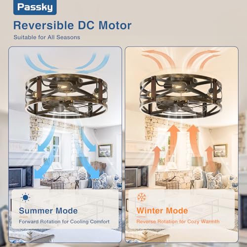 Passky fandelier blades and motor housing