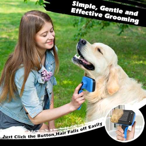 Augwind pet grooming tool set overview