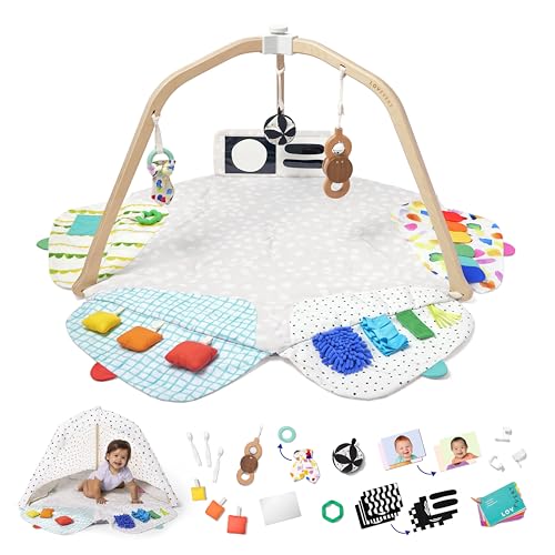 Lovevery The Play Gym overhead view