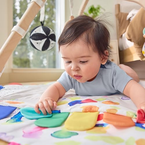 Lovevery The Play Gym learning card set