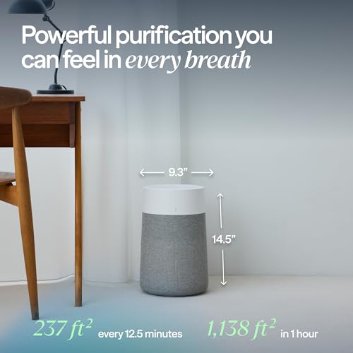 Side profile of White/Slate purifier