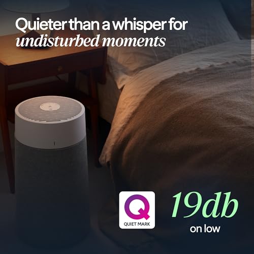 App interface for Blueair purifier