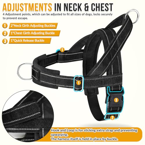 SlowTon leash with bungee and double handles