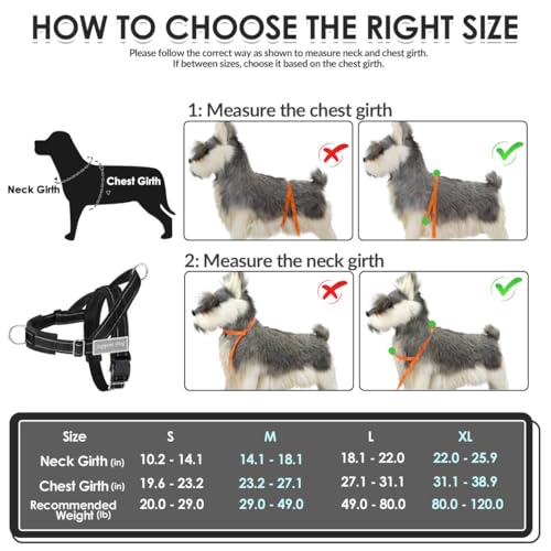 SlowTon harness reflective strips in low light