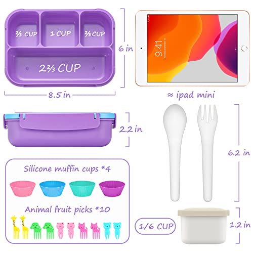 QQKO Bento Lunch Box open with compartments
