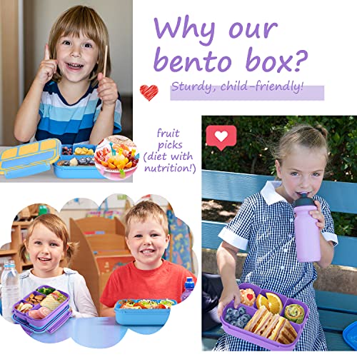 QQKO Bento Lunch Box purple packaging