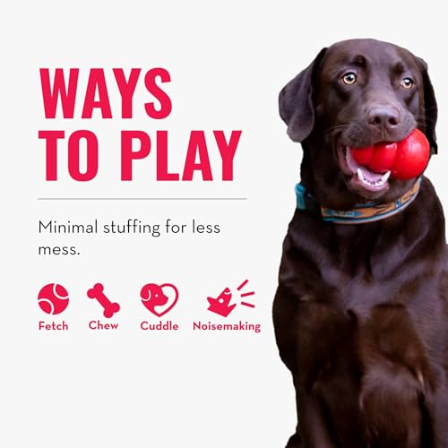 KONG Wild Knots Bear integrated squeaker area