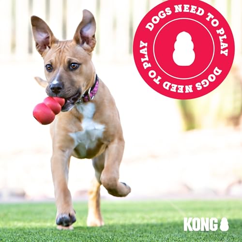 KONG Wild Knots Bear in action