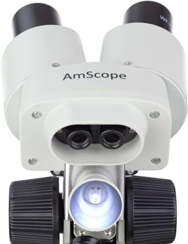 Portable binocular viewing head
