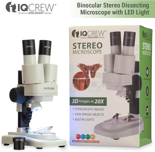 20X magnification microscope
