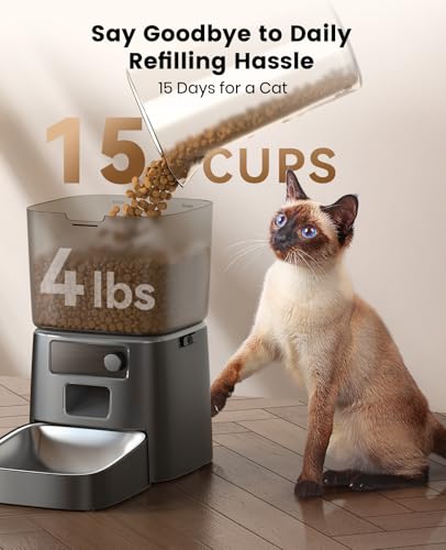 oneisall cat feeder app display on smartphone