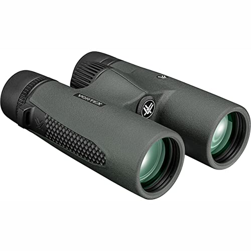 Vortex Triumph HD 10x42 with rubber eyecups