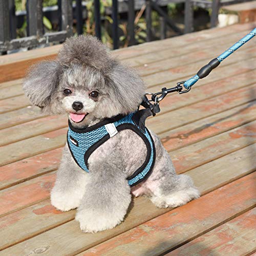 Close up of secure lock on Matilor pet vest
