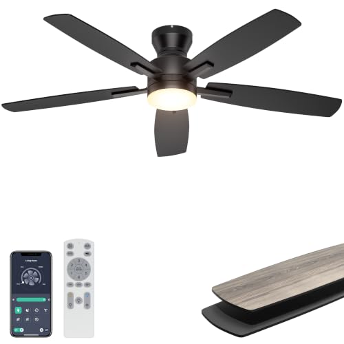 Ohniyou 52 inch black ceiling fan