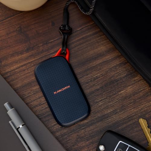 Sandisk 500GB external storage
