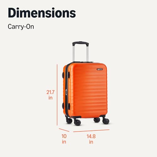 Basics luggage showing interior zippered pockets