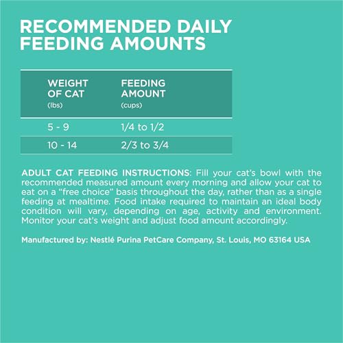 Cat eating Purina ONE Sensitive Skin and Stomach