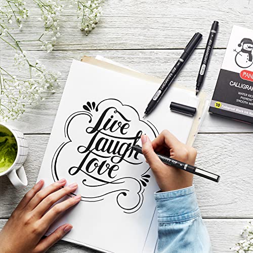 Set of 10 black archival quality lettering pens