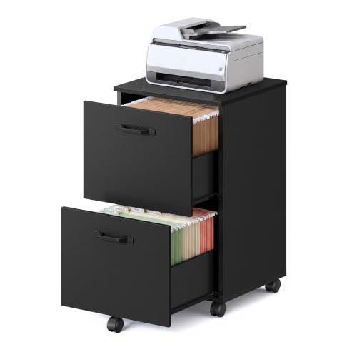 VASAGLE CUSTOS 2-Drawer File Cabinet, Ink Black