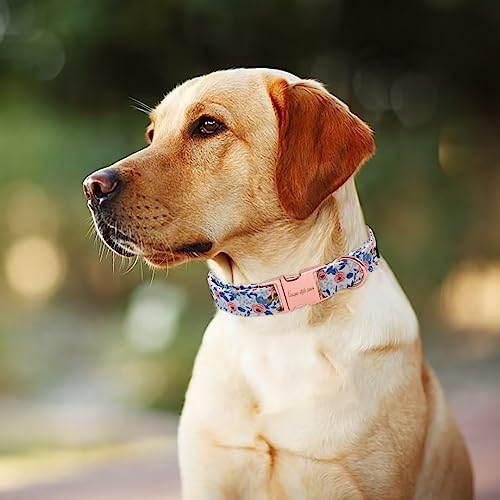 D-ring detail on Unique style paws cotton collar
