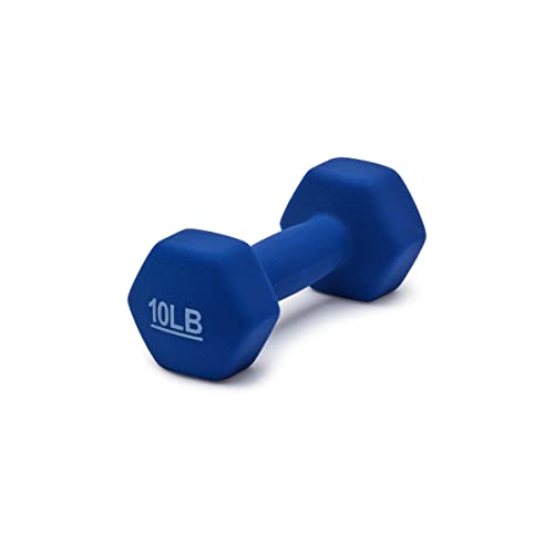 Pair of 10 pound Navy Blue dumbbells