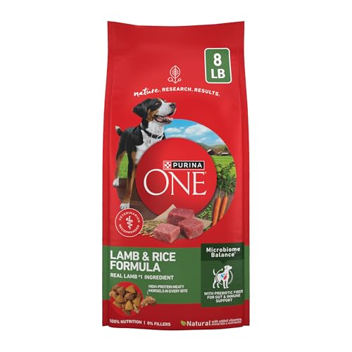 Purina ONE Lamb and Rice 8 lb bag front
