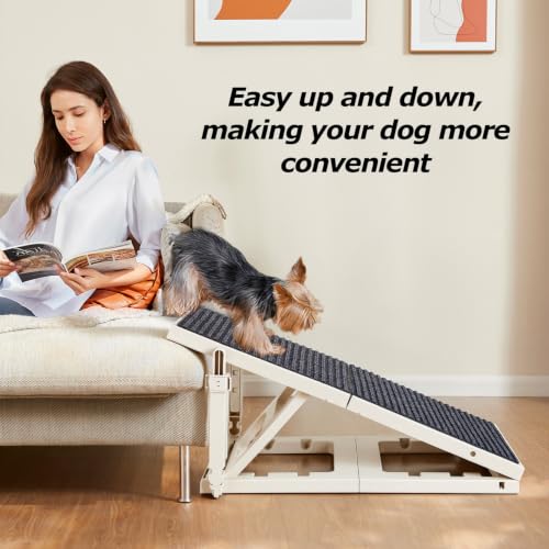 Pawzone ramp being stored under furniture