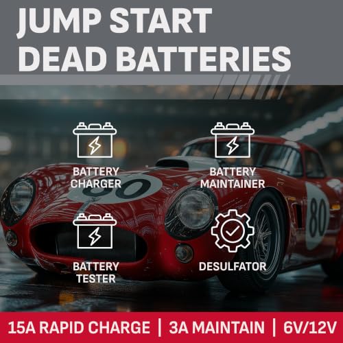 Schumacher Electric 15A battery charger interface