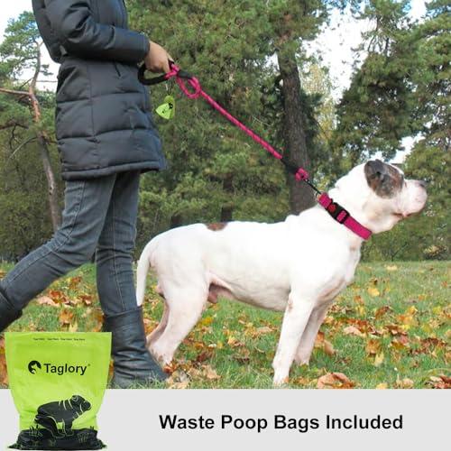 Close up of Taglory leash padded handle