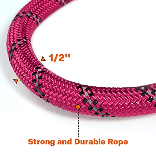 Heavy duty metal swivel clasp for leash