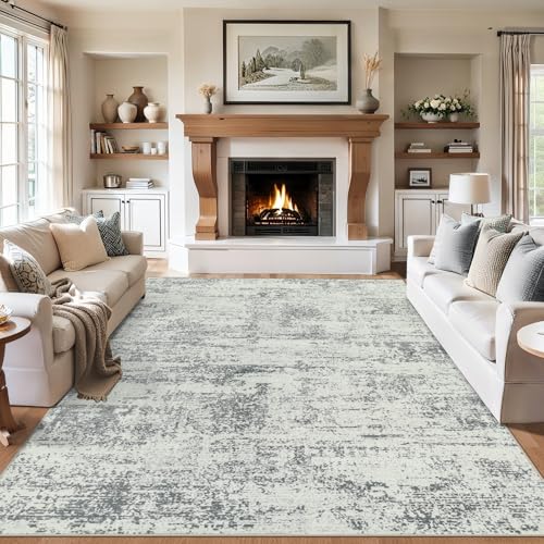 Modern grey rug living room view